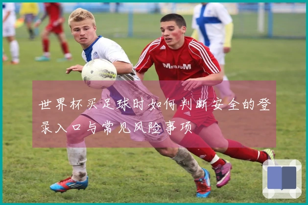 世界杯买足球时如何判断安全的登录入口与常见风险事项