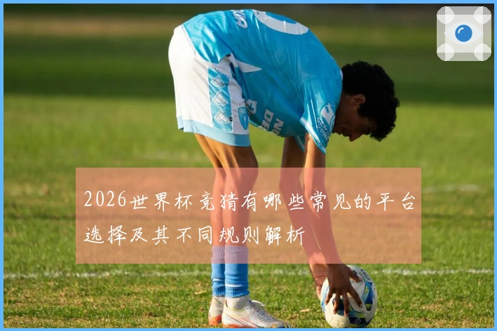 2026世界杯竞猜有哪些常见的平台选择及其不同规则解析