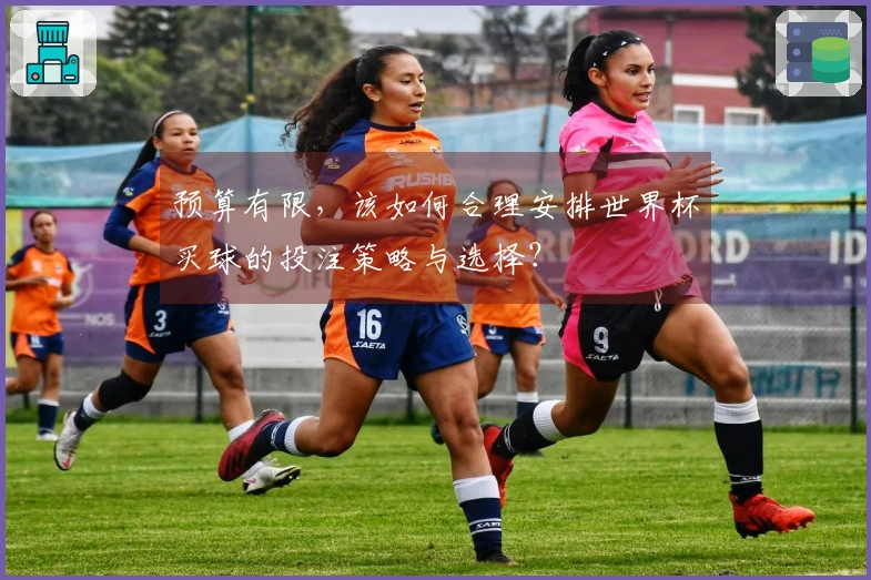 预算有限，该如何合理安排世界杯买球的投注策略与选择？