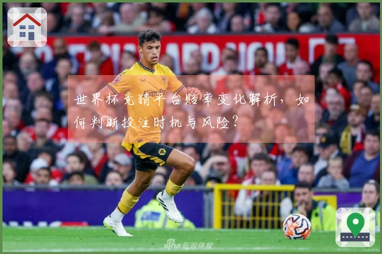 世界杯竞猜平台赔率变化解析，如何判断投注时机与风险？