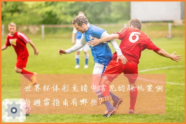 世界杯体彩竞猜中常见的踩坑案例与避雷指南有哪些?