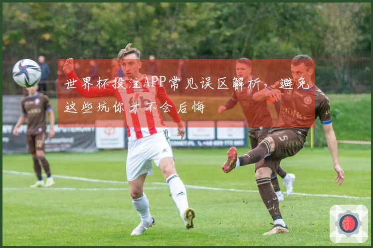 世界杯投注APP常见误区解析，避免这些坑你才不会后悔