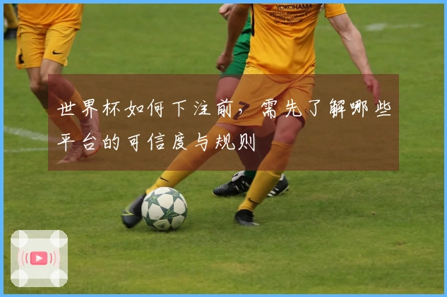 世界杯如何下注前，需先了解哪些平台的可信度与规则