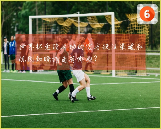 世界杯竞猜活动的官方投注渠道和规则知晓指南有哪些?