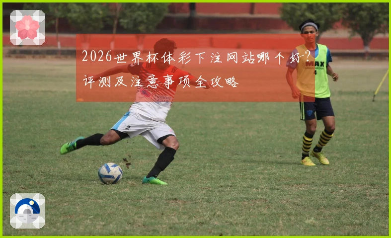 2026世界杯体彩下注网站哪个好?评测及注意事项全攻略