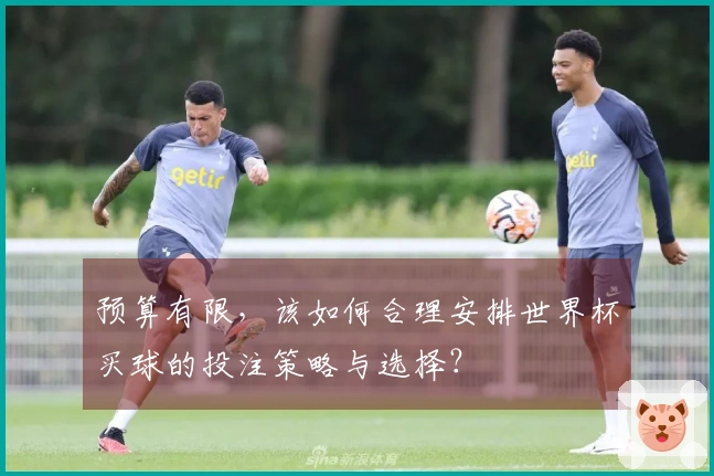 预算有限,该如何合理安排世界杯买球的投注策略与选择?