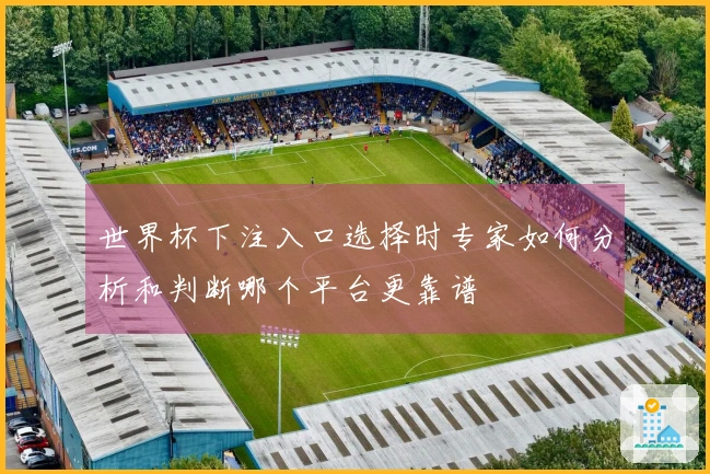 世界杯下注入口选择时专家如何分析和判断哪个平台更靠谱