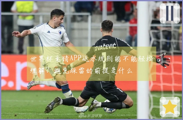 世界杯竞猜APP返水规则能不能轻松理解？避免踩雷的前提是什么