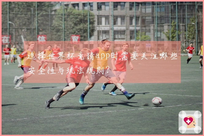 选择世界杯竞猜app时需要关注哪些安全性与玩法规则？