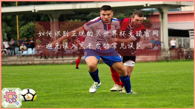如何识别正规的买世界杯竞猜官网，避免误入黑平台的常见误区