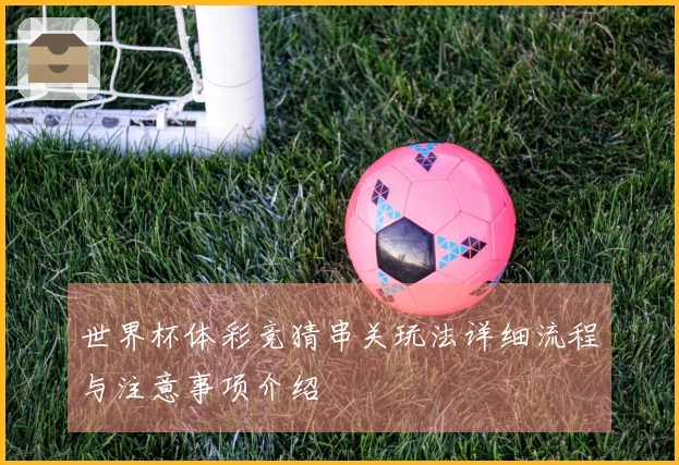 世界杯体彩竞猜串关玩法详细流程与注意事项介绍