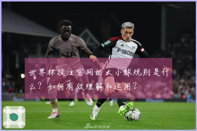 世界杯投注官网的大小球规则是什么？如何有效理解和运用？