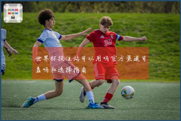 世界杯投注站可以用吗官方渠道可靠吗和选择指南