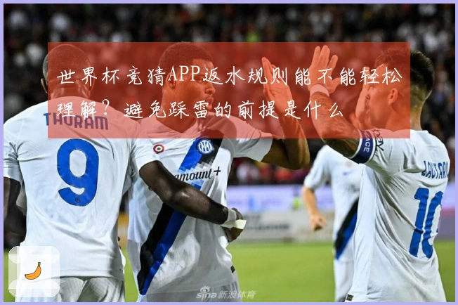 世界杯竞猜APP返水规则能不能轻松理解?避免踩雷的前提是什么