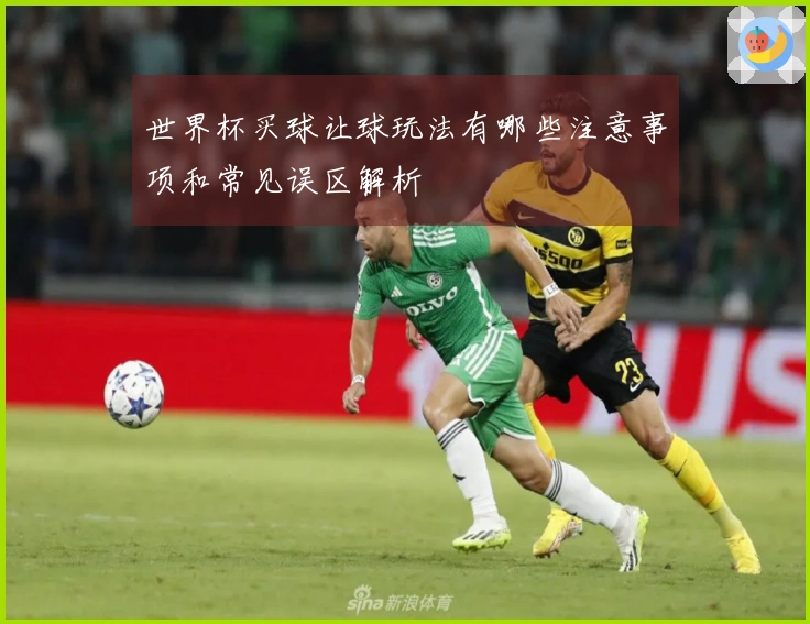 世界杯买球让球玩法有哪些注意事项和常见误区解析
