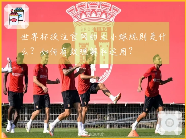 世界杯投注官网的大小球规则是什么?如何有效理解和运用?