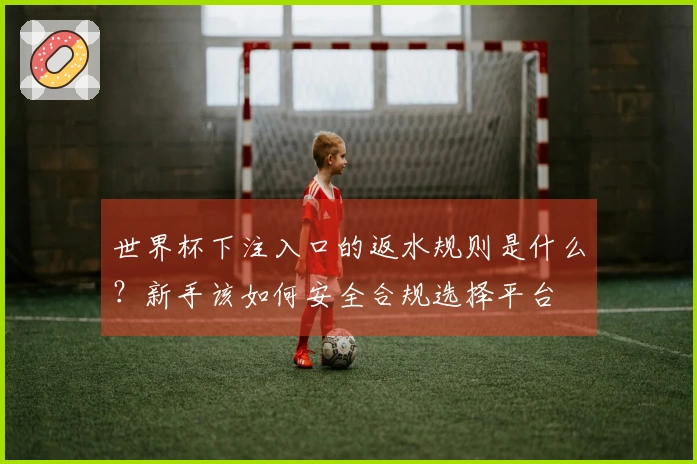 世界杯下注入口的返水规则是什么？新手该如何安全合规选择平台
