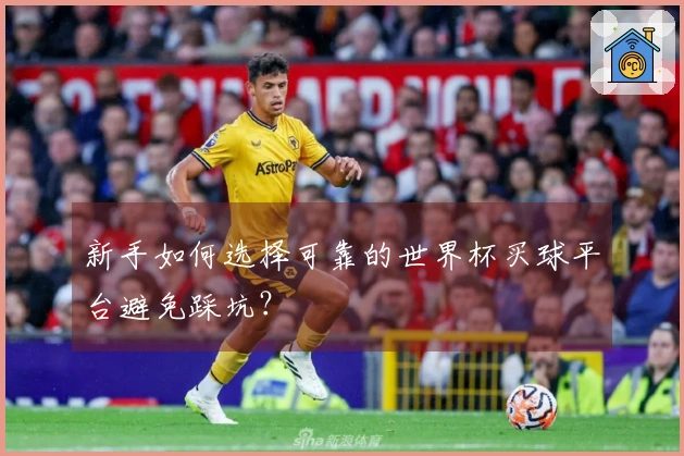 新手如何选择可靠的世界杯买球平台避免踩坑？