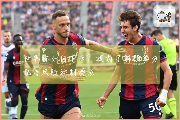 世界杯如何下注？提前了解预算分配与风险控制要点