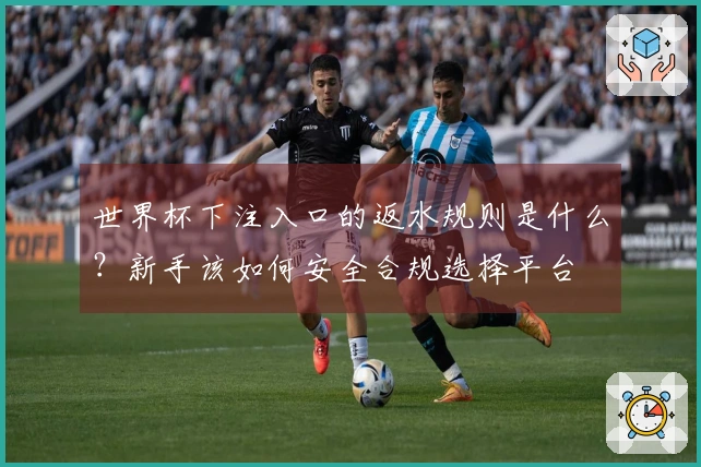 世界杯下注入口的返水规则是什么？新手该如何安全合规选择平台