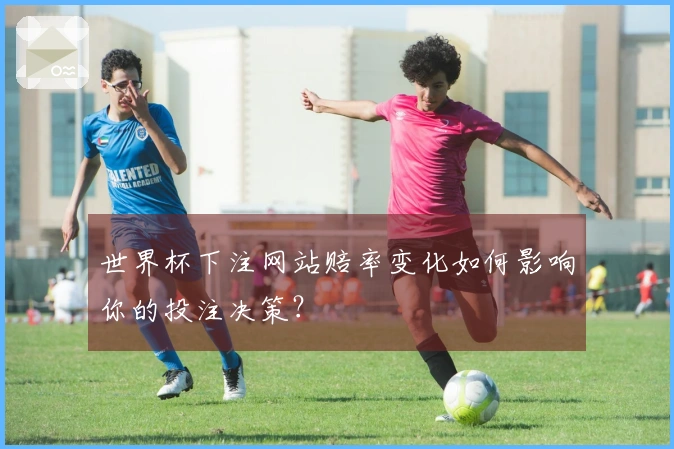 世界杯下注网站赔率变化如何影响你的投注决策？