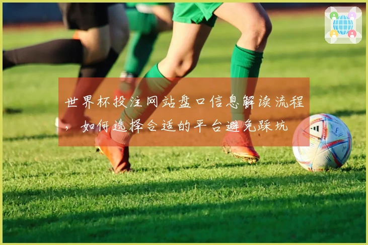 世界杯投注网站盘口信息解读流程，如何选择合适的平台避免踩坑