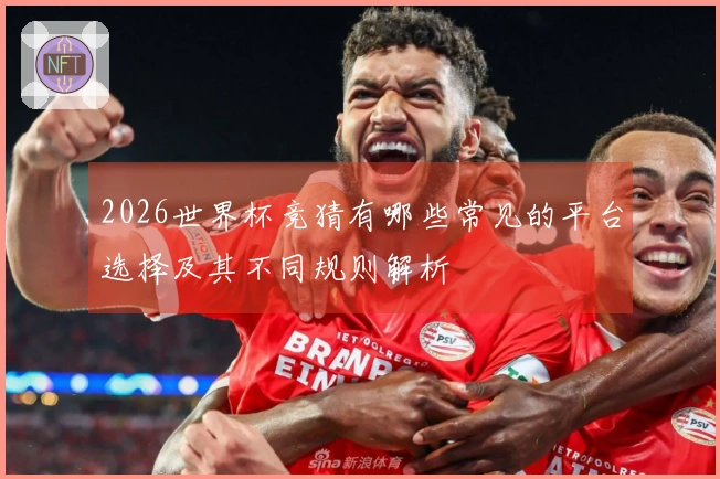 2026世界杯竞猜有哪些常见的平台选择及其不同规则解析