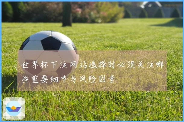 世界杯下注网站选择时必须关注哪些重要细节与风险因素