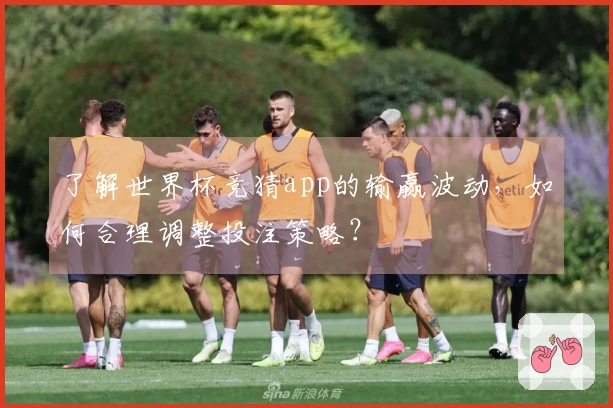 了解世界杯竞猜app的输赢波动，如何合理调整投注策略？