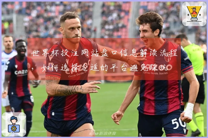 世界杯投注网站盘口信息解读流程，如何选择合适的平台避免踩坑