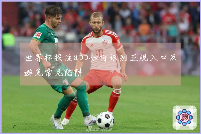 世界杯投注app如何识别正规入口及避免常见陷阱